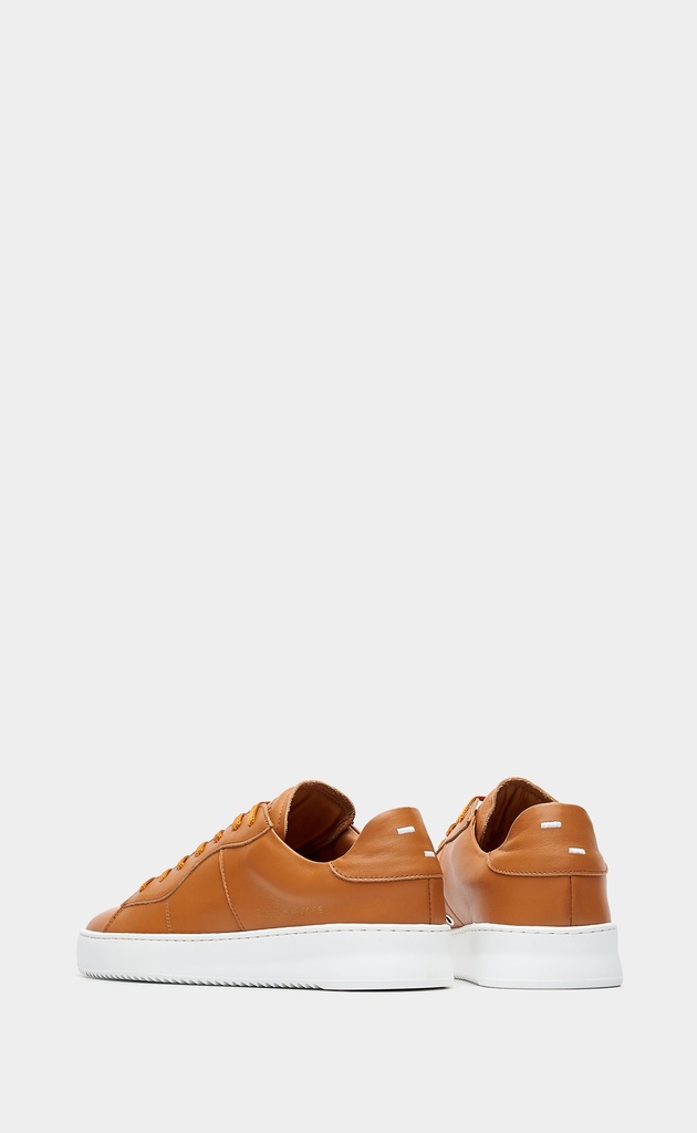 COURT RADO CAMEL